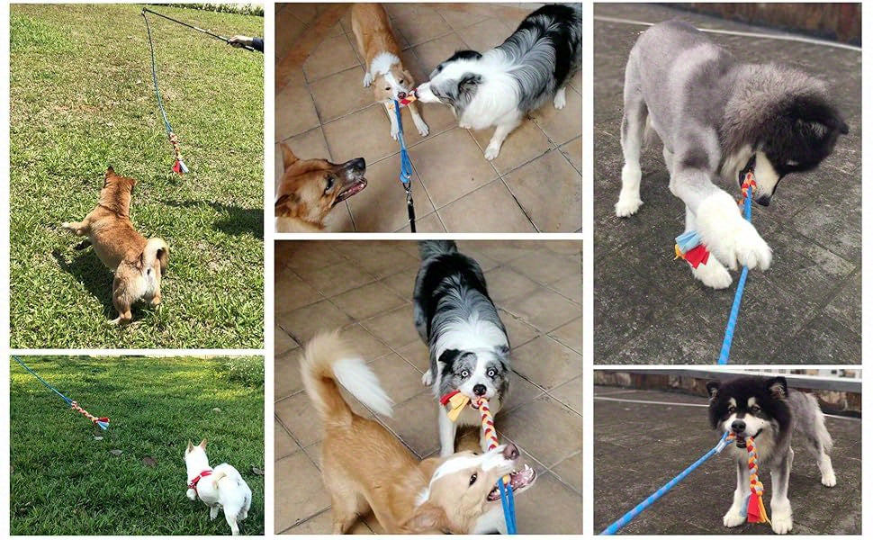Interactive Flirt Pole Dog Toy Durable Teaser Wand Tassel