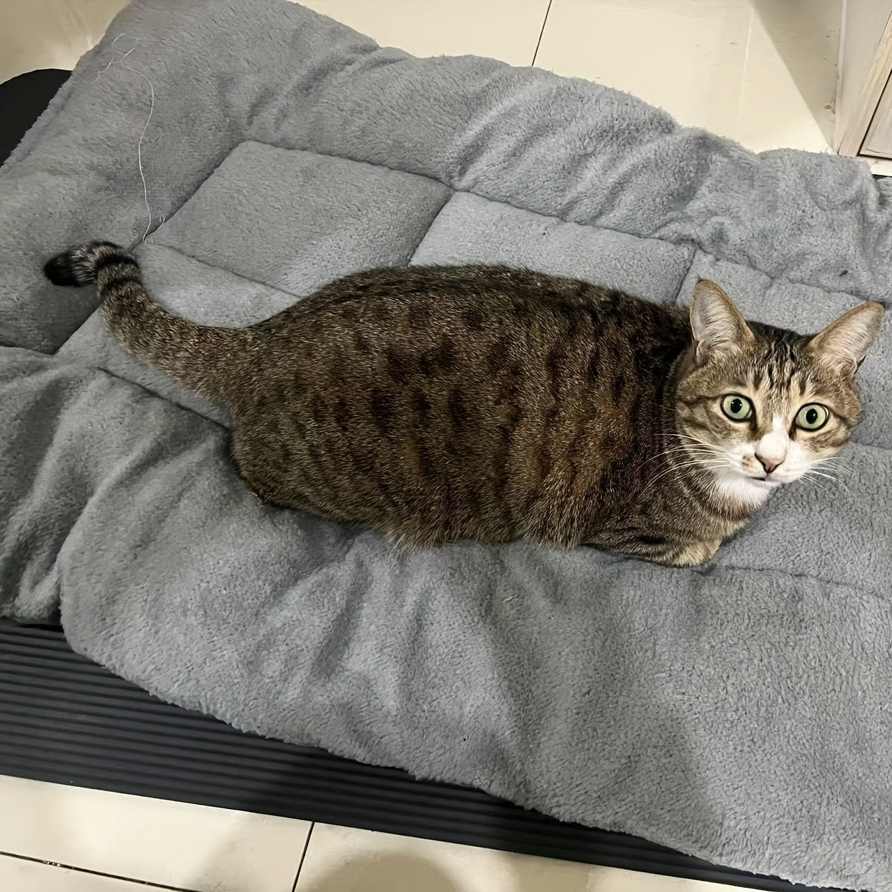 Extra Large Plush Dog Bed Sofa For Large Breeds Ultra Soft Polyester Surface Easy Clean