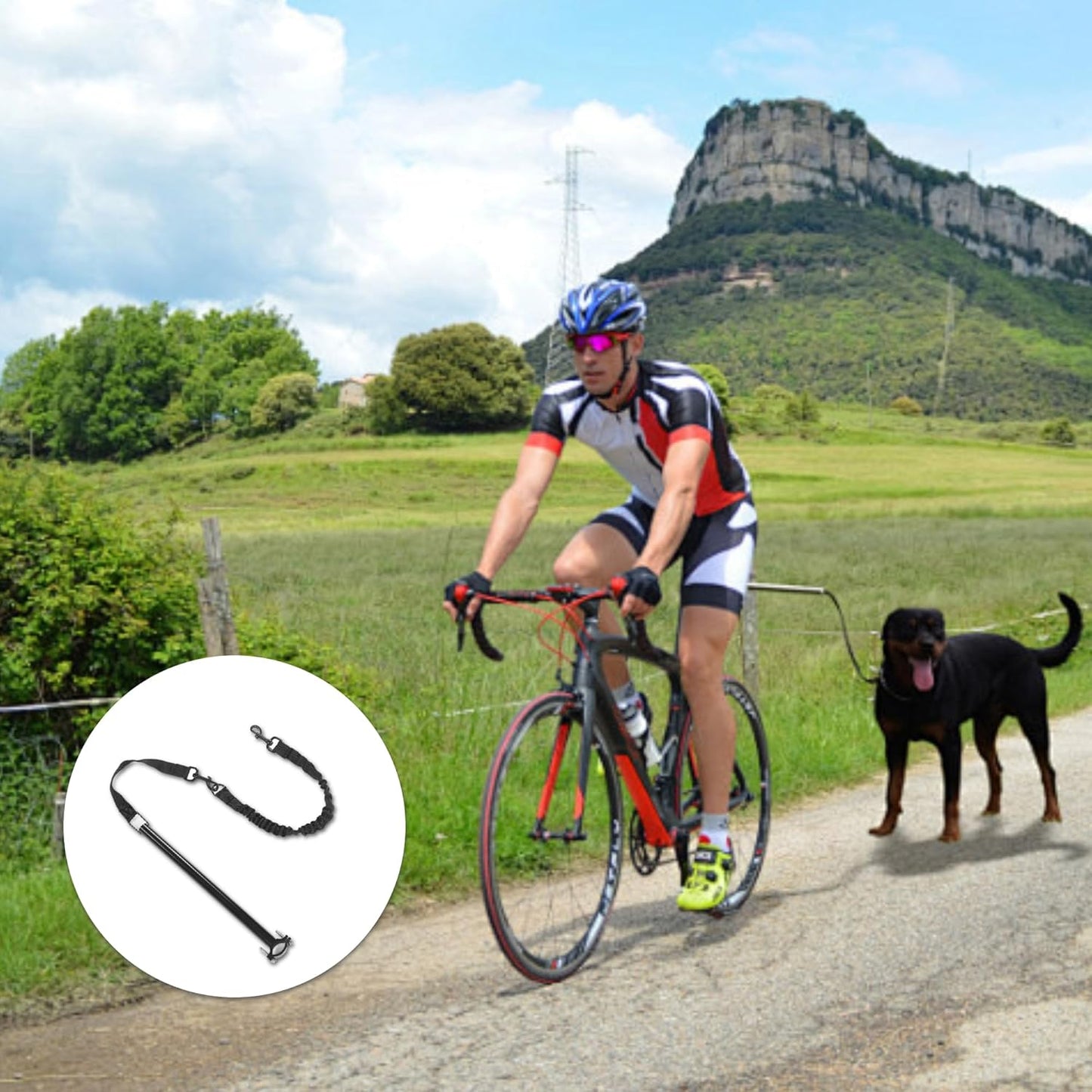 1000Lb Heavy Duty Stretchable Bike Leash For Dogs With Secure Locking System Adjustable Retractable Nylon Leash Cycling