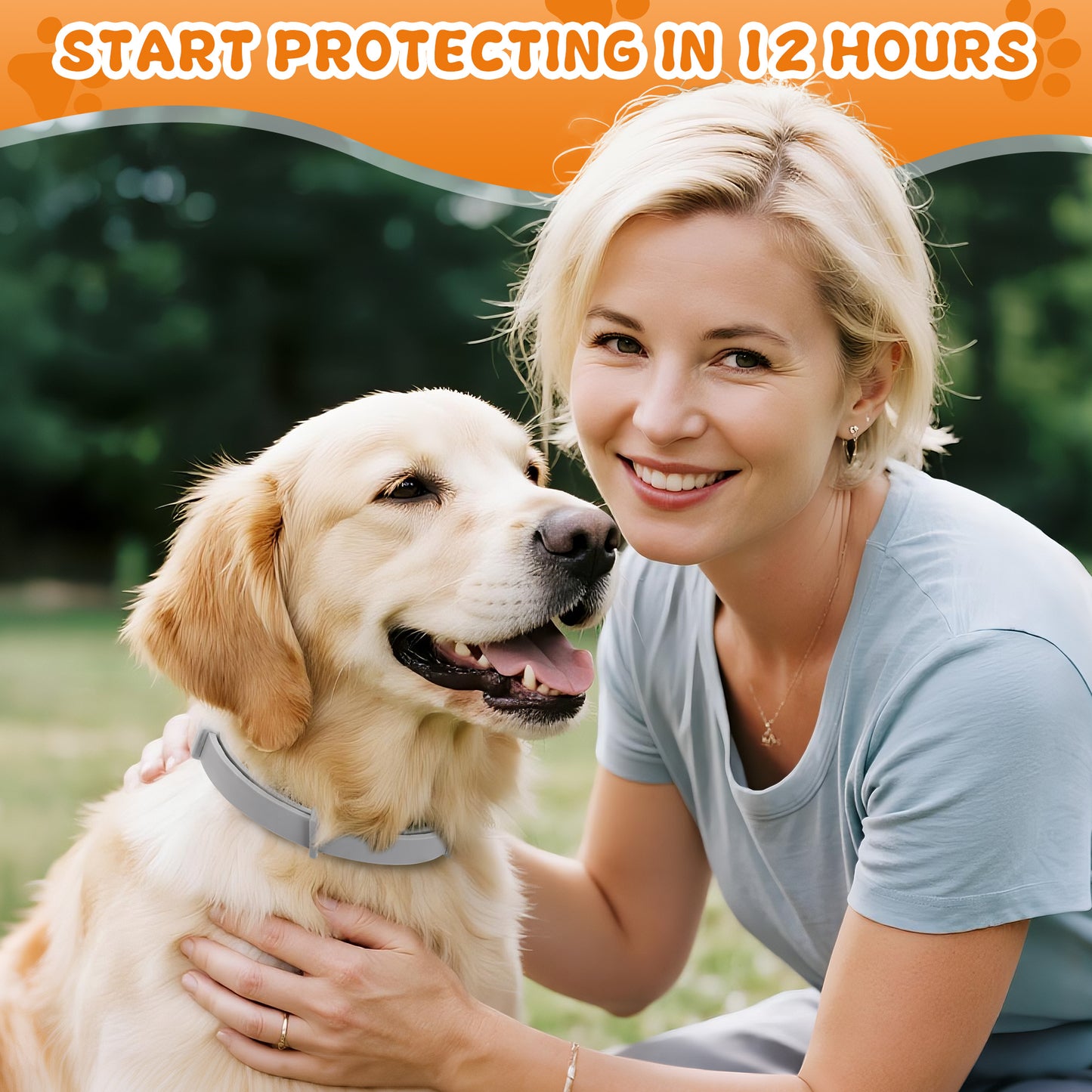 4 Pack Flea Tick Prevention Collar For Dogs 25 Inch Adjustable Fits All Sizes Long Lasting Protection Up To 8 Months