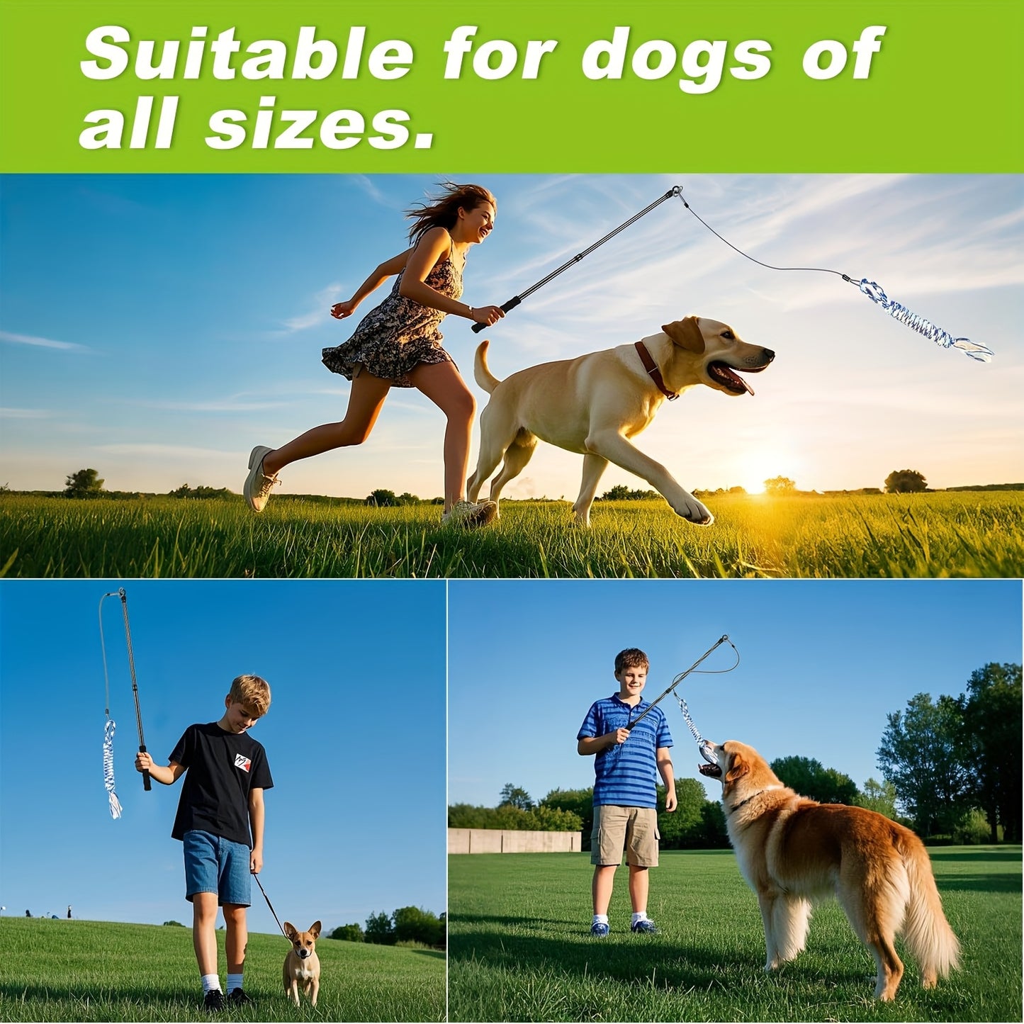 Carbon Fiber Dog Flirt Pole Telescopic With Toys
