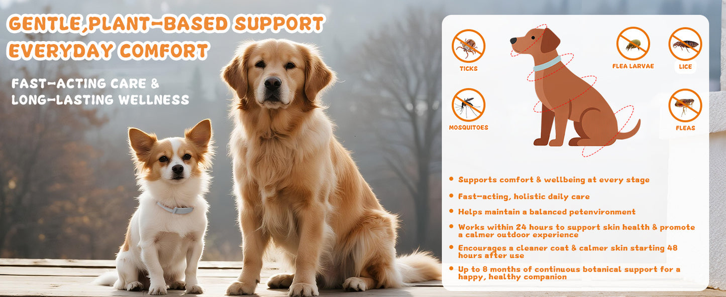 4 Pack Flea Tick Prevention Collar For Dogs 25 Inch Adjustable Fits All Sizes Long Lasting Protection Up To 8 Months