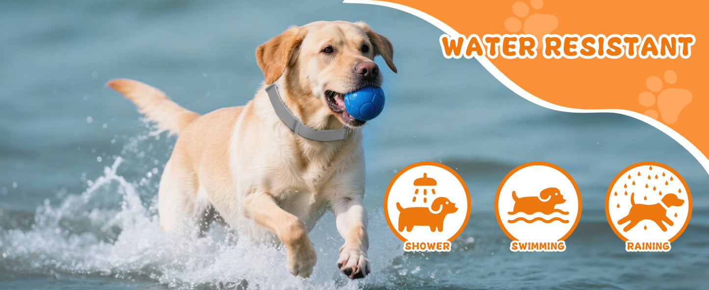 4 Pack Flea Tick Prevention Collar For Dogs 25 Inch Adjustable Fits All Sizes Long Lasting Protection Up To 8 Months