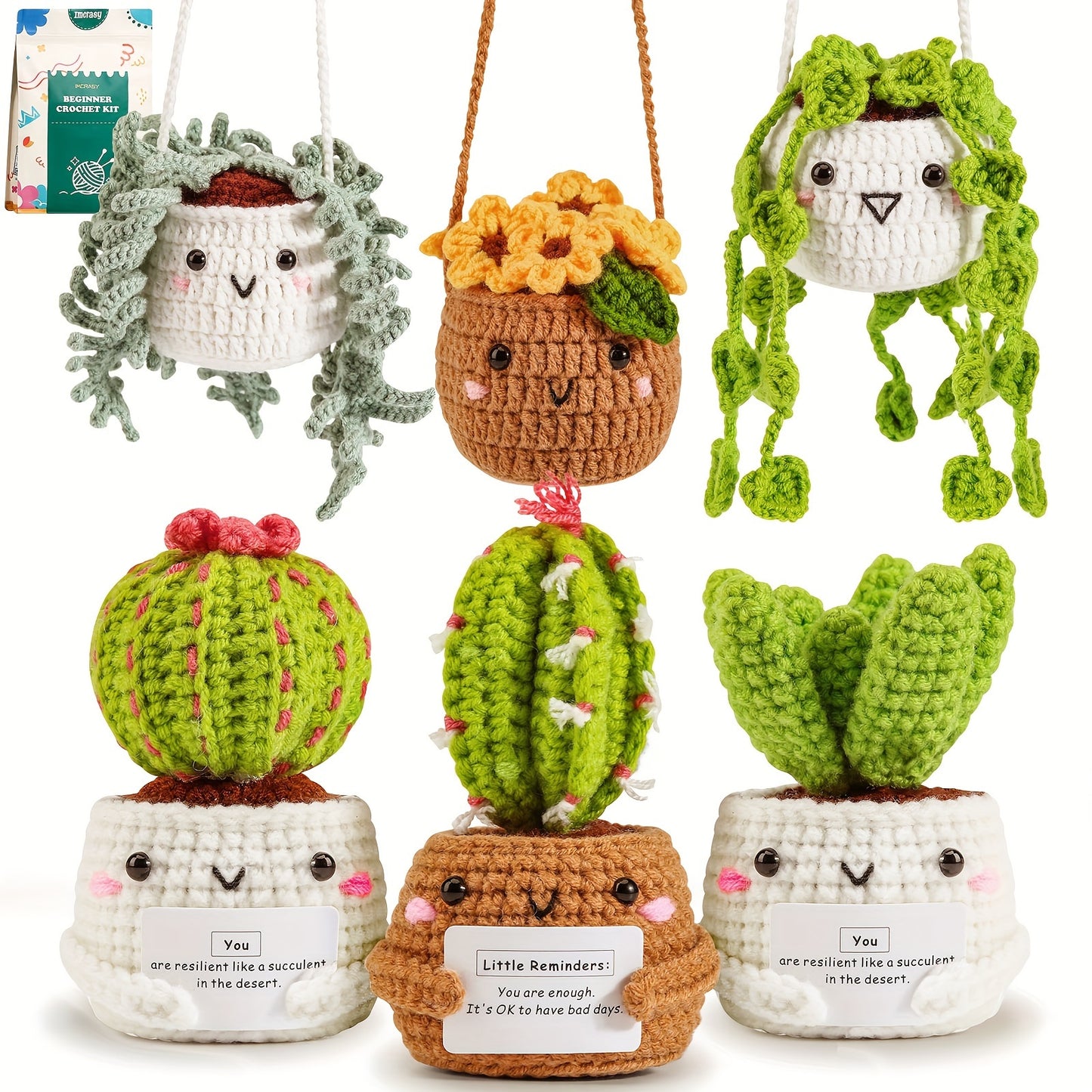 Crochet Kit For Beginners With Step By Step Video Lessons, Six Piece Succulent Crochet Set With Accessories