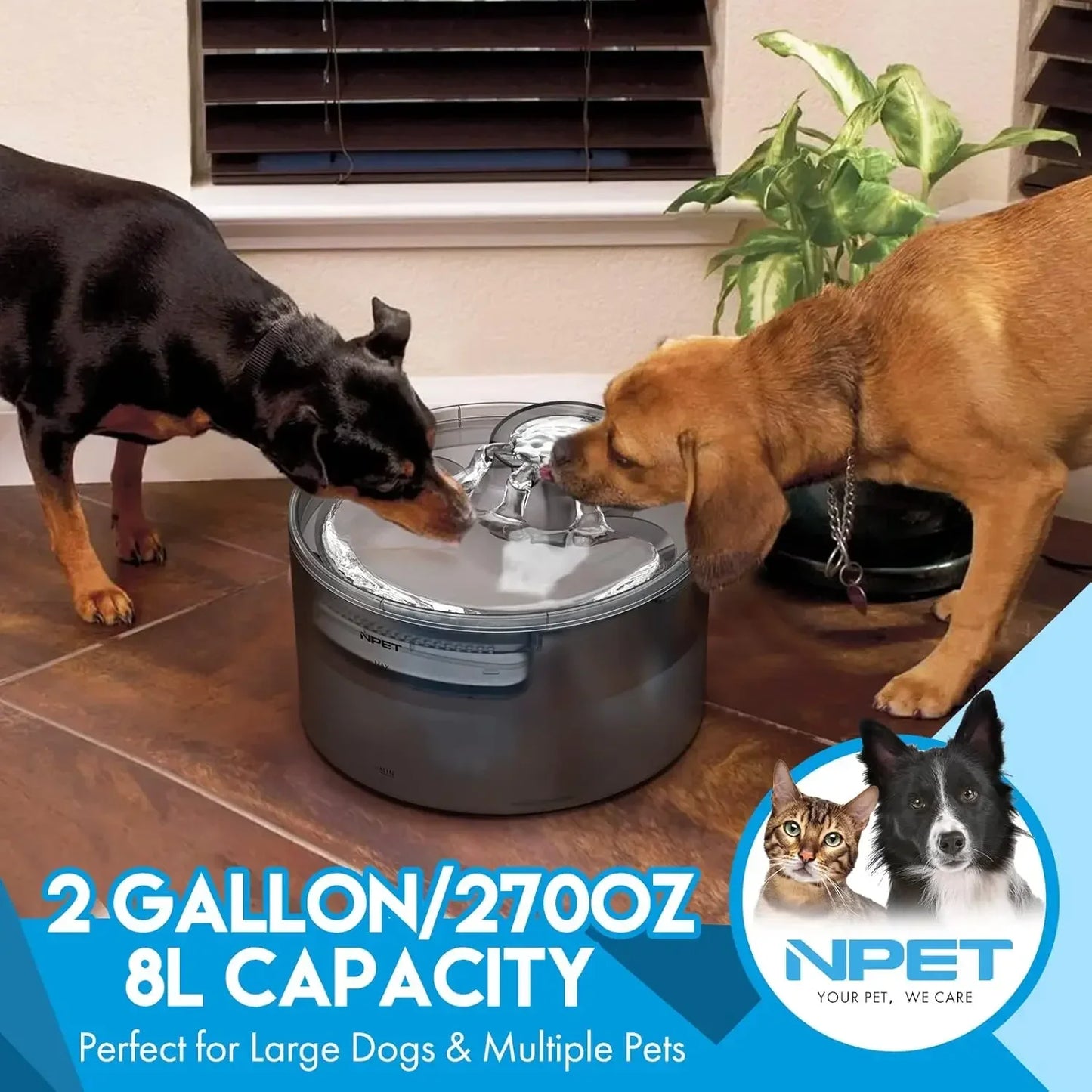 NPET Large Dog Water Fountain 2 Gallon Automatic Dispenser