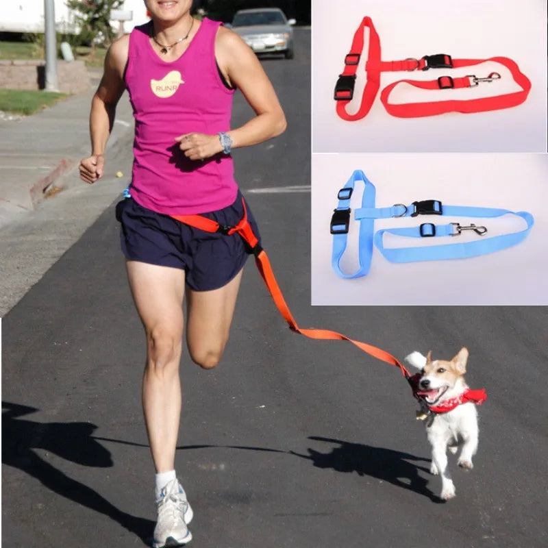Adjustable Pet Lead Belt Traction Walking Leash for Dogs and Cats Free Rope Jogging Supplies