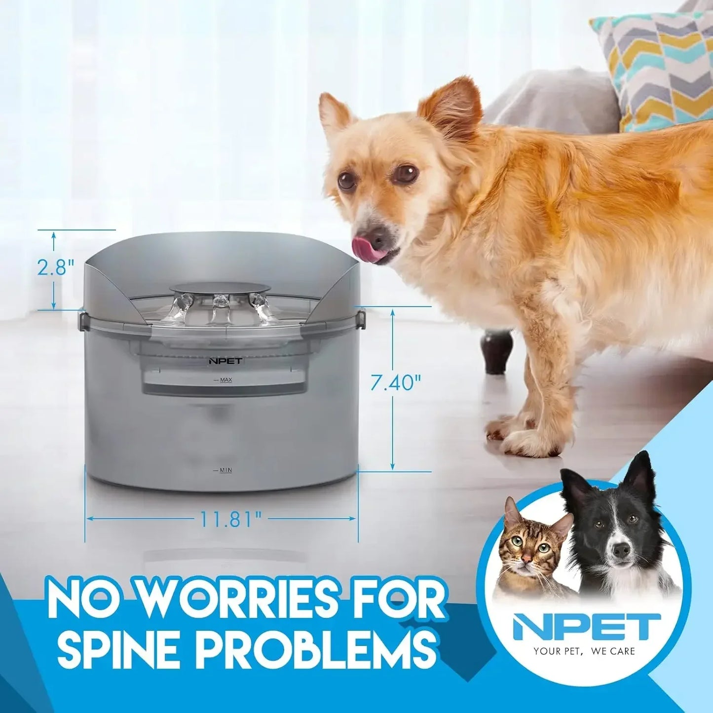 NPET Large Dog Water Fountain 2 Gallon Automatic Dispenser