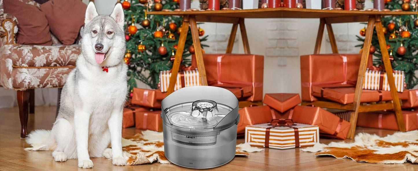 NPET Large Dog Water Fountain 2 Gallon Automatic Dispenser