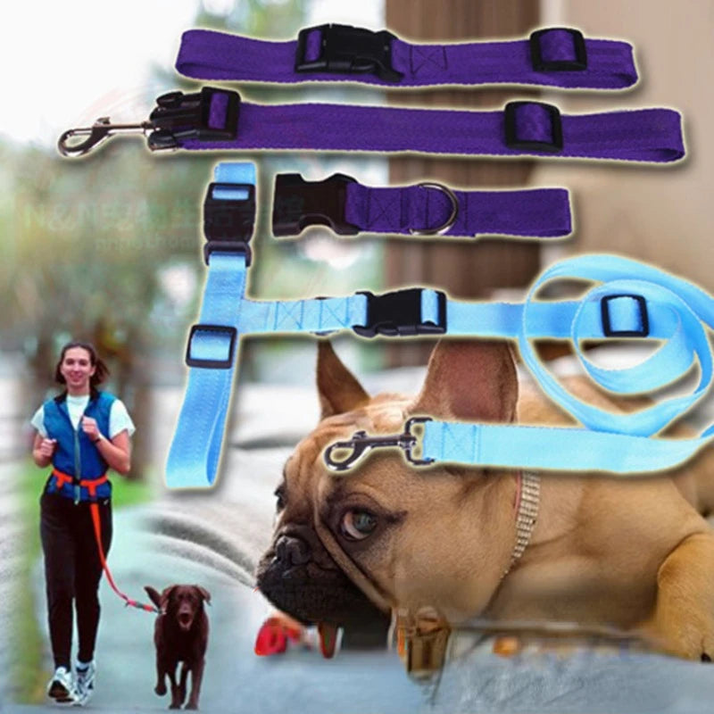 Adjustable Pet Lead Belt Traction Walking Leash for Dogs and Cats Free Rope Jogging Supplies