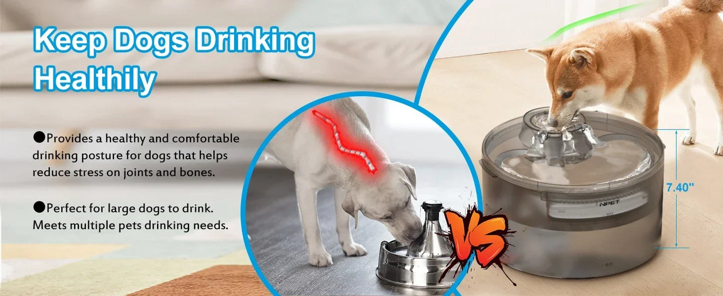 NPET Large Dog Water Fountain 2 Gallon Automatic Dispenser