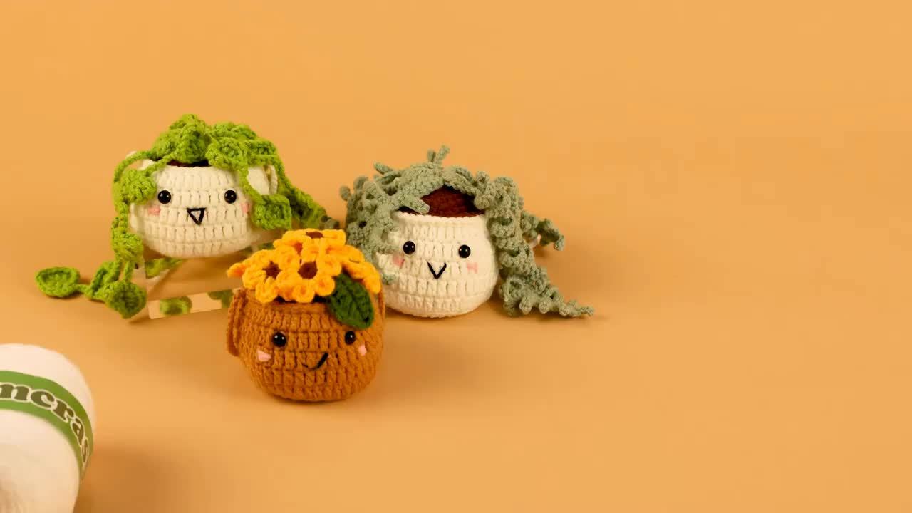 Crochet Kit For Beginners With Step By Step Video Lessons, Six Piece Succulent Crochet Set With Accessories