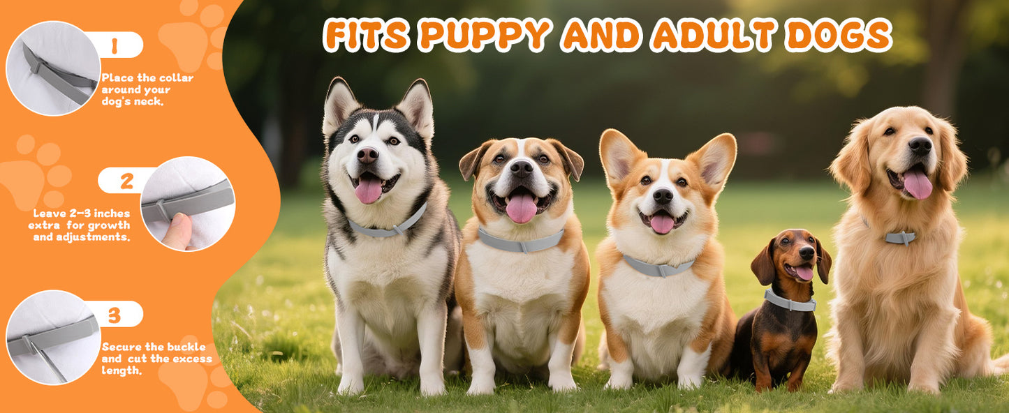 4 Pack Flea Tick Prevention Collar For Dogs 25 Inch Adjustable Fits All Sizes Long Lasting Protection Up To 8 Months
