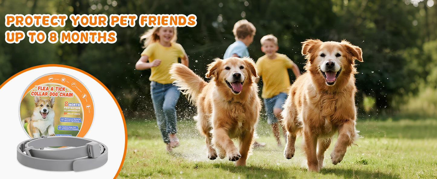 4 Pack Flea Tick Prevention Collar For Dogs 25 Inch Adjustable Fits All Sizes Long Lasting Protection Up To 8 Months